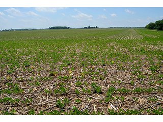 Property photo 86 - LAND AUCTION - 700+/- ACRES OFFERED IN 16 TRACTS IN ALLEN COUNTY, INDIANA